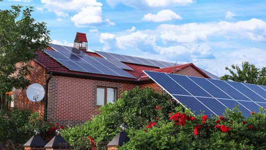 Aktuelles aus der Region