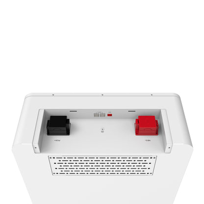 Anschlussbereich des Felicity FLA48460TG2 Speichers mit Plus- und Minuspol