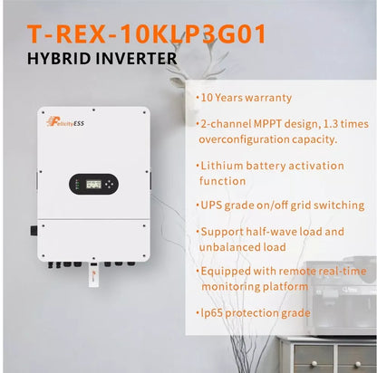 Felicity T-REX-10KLP3G01 Parameter Wechselrichter