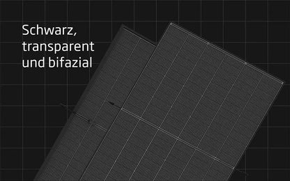 Trina Vertex S+ TSM-NEG9RC.27 Doppelglas Solarmodul Vorderansicht Schwarz Transparent Bifazial
