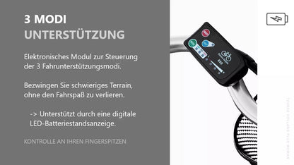 E-Bike HOLLAND PLUS 250/ 36V Elektrofahrrad Damenrad 28 Zoll