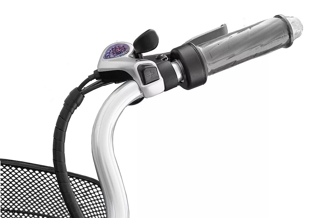 E-Bike HOLLAND PLUS 250/ 36V Elektrofahrrad Damenrad 28 Zoll