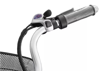E-Bike HOLLAND PLUS 250/ 36V Elektrofahrrad Damenrad 28 Zoll
