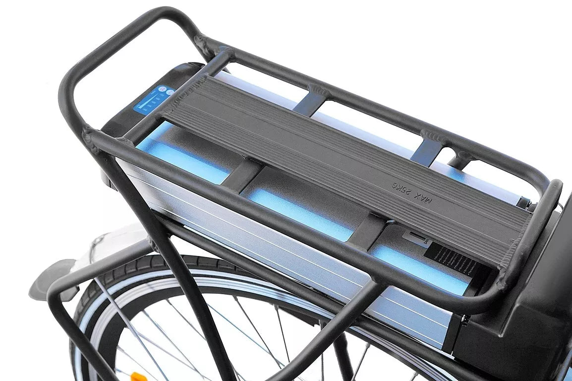 E-Bike HOLLAND PLUS 250/ 36V Elektrofahrrad Damenrad 28 Zoll