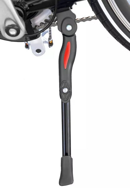 E-Bike HOLLAND PLUS 250/ 36V Elektrofahrrad Damenrad 28 Zoll